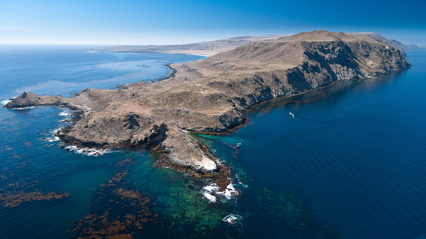 San Clemente Island, Pyramid Head and kelp forest, aerial photo, California